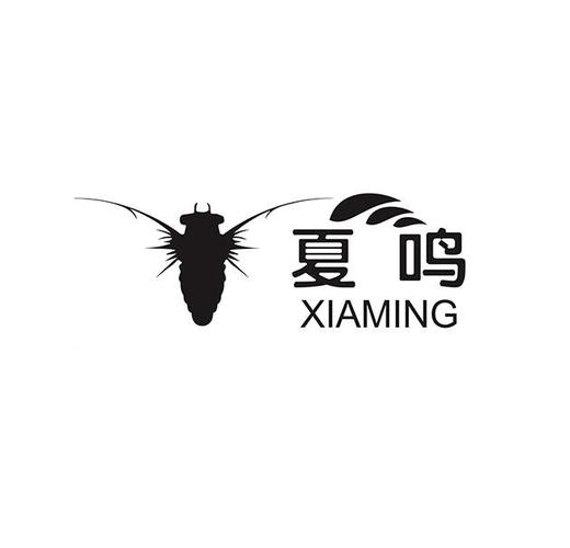 爱企查_工商信息查询_公司企业注册信息查询_国家企业信用信息公示系